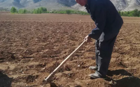 强行侵占他人土地该负什么责任及强行霸占他人土地案例解析