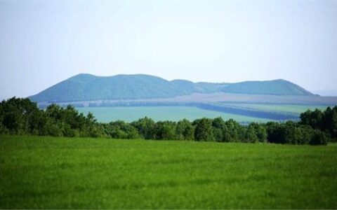 森林法处罚条例细则及最新滥伐林木立案标准