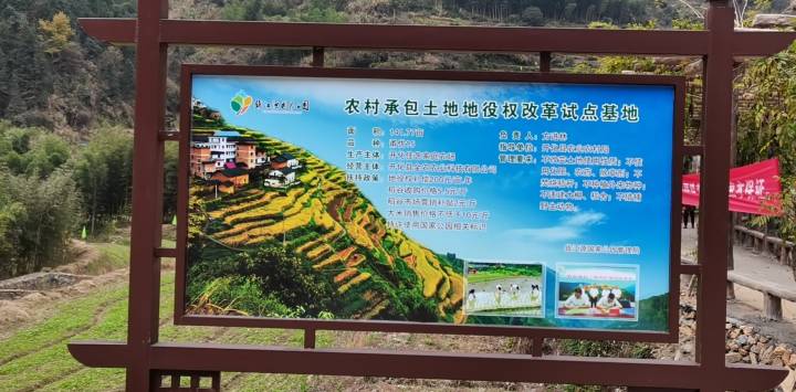 钱江源地役权改革：小小权利“让渡”撬动252平方公里生态保护