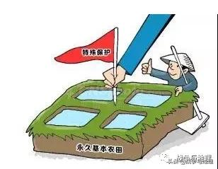 宅基地是否可以买卖？新修《土地管理法》是如何规定？