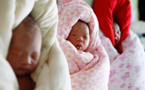 违反计划生育政策的处罚及违反计生政策的处罚最新