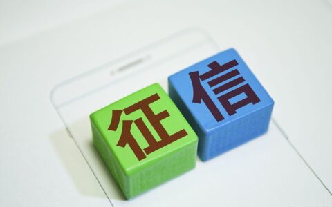 不良信用记录查询方法及严重不良信用记录标准