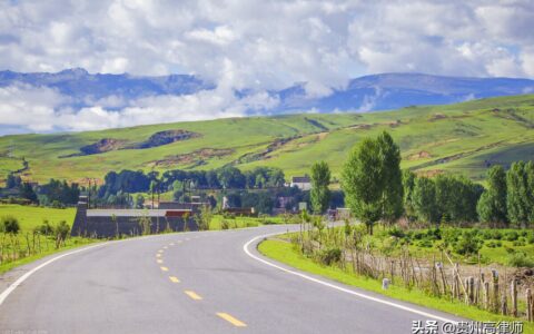 公司法定代表人是什么意思及法人代表的风险和好处