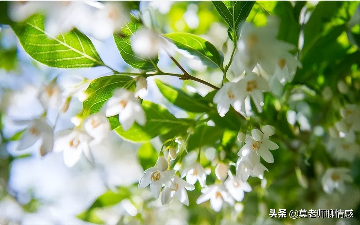 老公出轨的婚姻该怎么继续?治理老公出轨好的办法