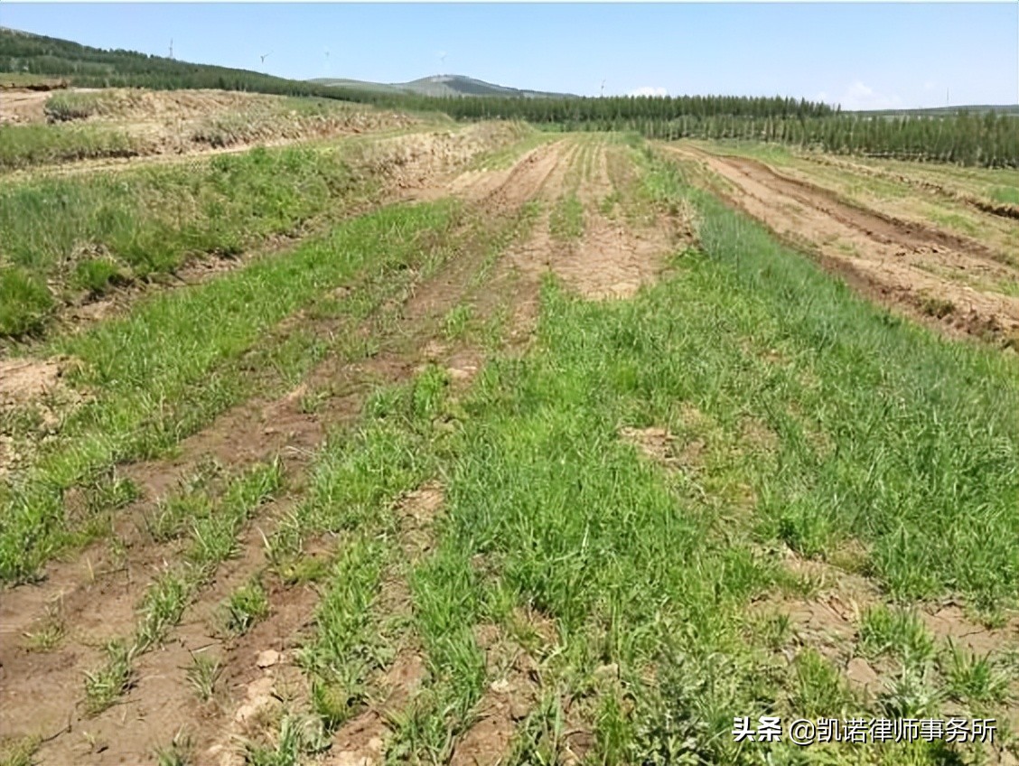 土地征收又出新规定！有四个亮点直接关系到被征收人的利益