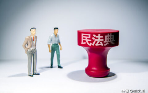 无民事行为能力人是指什么及限制民事行为能力人的认定