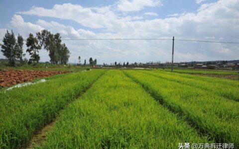 新土地法补偿标准(国家土地赔偿政策)