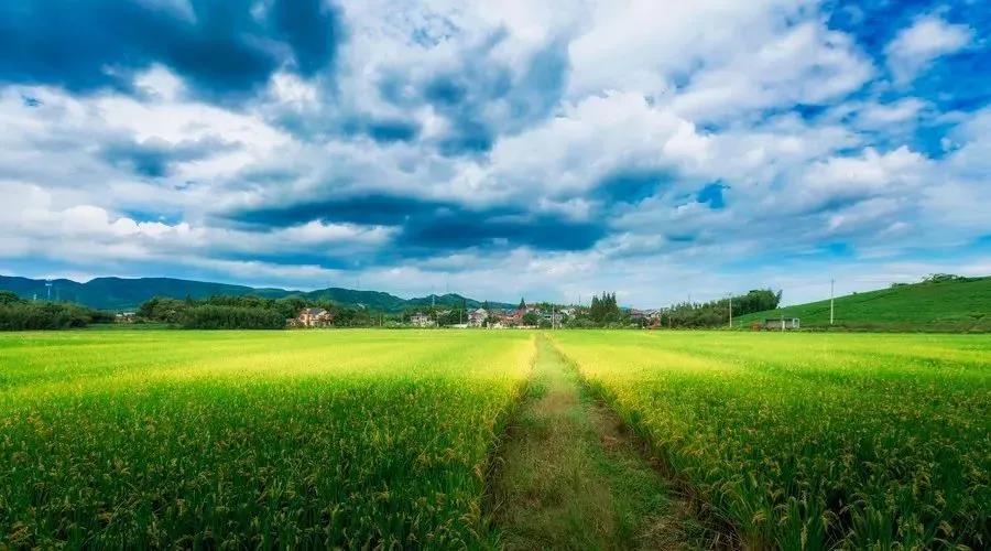 征收中的补偿安置方案你知道吗？