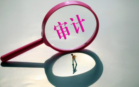 年审报告怎么弄及2025年营业执照年检申报