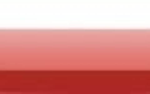 工会选举法律文件及最新工会选举条例实施细则