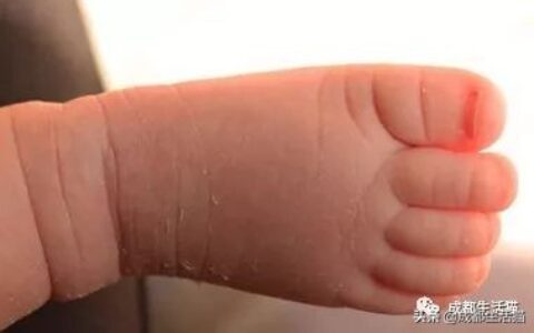 单独二胎申请流程怎么走及一孩二孩生育登记办理流程