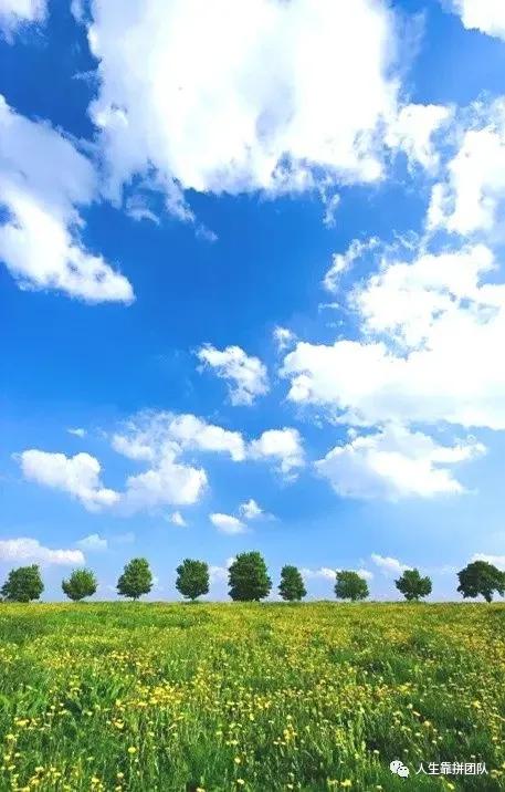 提供劳务者受害责任纠纷