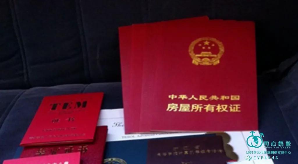 同志和拉拉形式婚姻有哪些法律风险，财产关系，离婚程序？