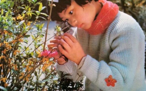 双独生二胎政策是什么及双方独生子女二胎政策时间