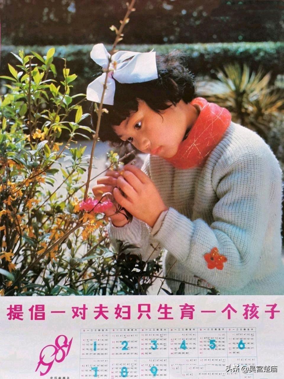 “一对夫妇生育一个孩子”政策出台始末