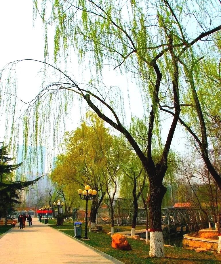 提供劳务者受害责任纠纷