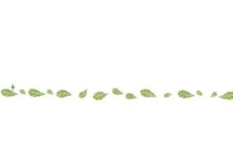 医疗保险报销比例是多少及2025年新农合住院报销标准