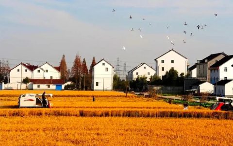 农村土地管理法是什么及最新农村土地法律法规