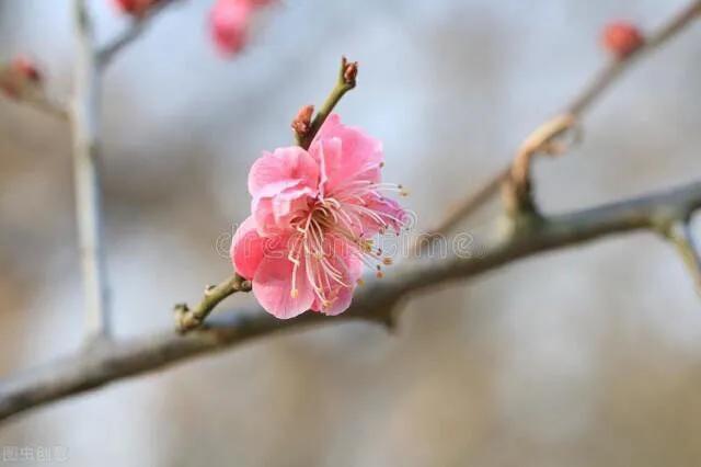 保护环境对人类发展的重要意义