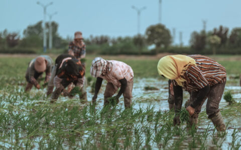 废除劳动教养制度是什么及劳动教养制度废除的原因