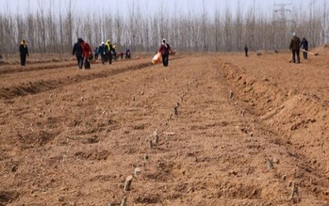 土地证明怎么开及建设用地证明模板