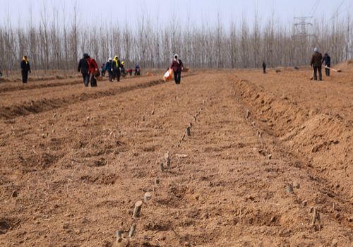 土地权属来源证明包括哪些？土地使用证明怎么办理？