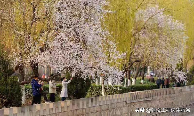 家庭保姆雇佣协议