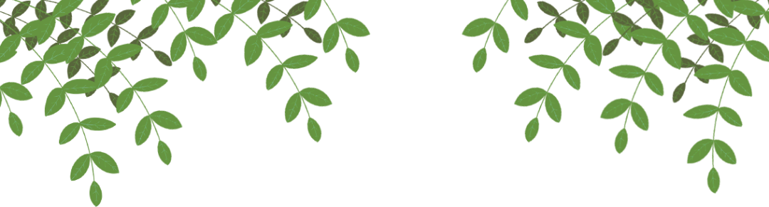 两公布一提示 | 清明高速免费行,疫情防控要“先行”