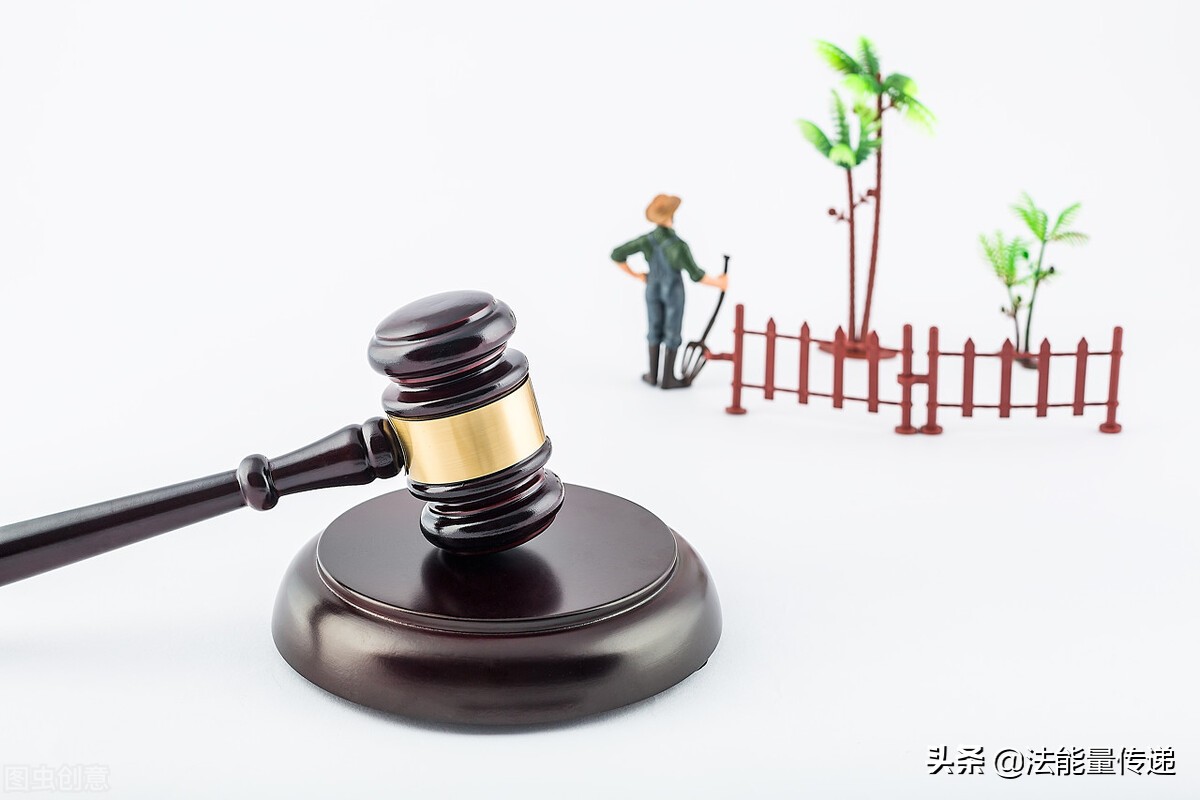 土地承包中再延长的含义：大规模生产是现代农业的发展趋势