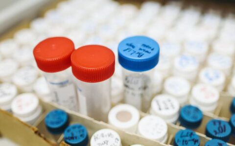 亲子鉴定费用要多少及父子做亲子鉴定费用