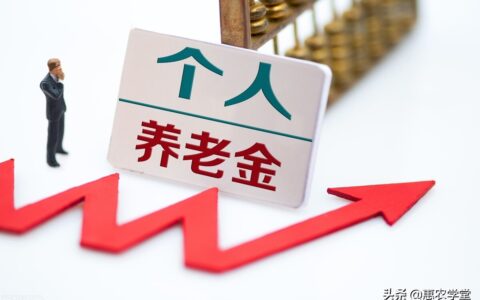 养老保险怎么交个人一年多少钱及2024交养老保险步骤