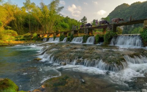 食品安全问题有哪些及食品安全问题赔偿标准