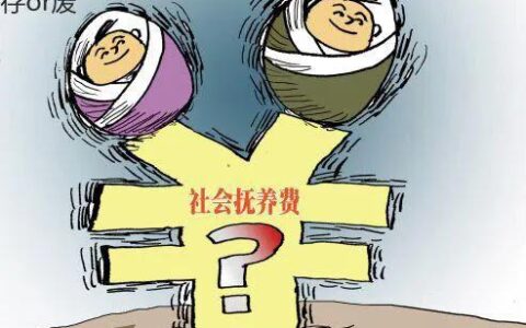 什么叫社会抚养费及废止社会抚养费征收管理办法