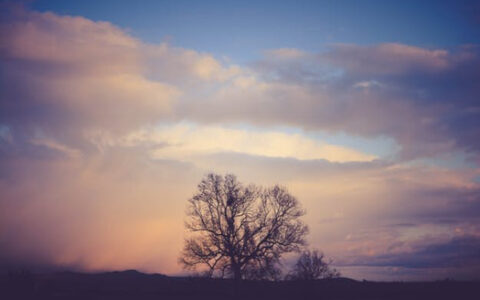 工伤保险死亡赔偿标准及职工工伤死亡赔偿标准