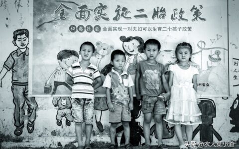 农村户口生二胎有补贴吗及2024农村户口生育补贴政策