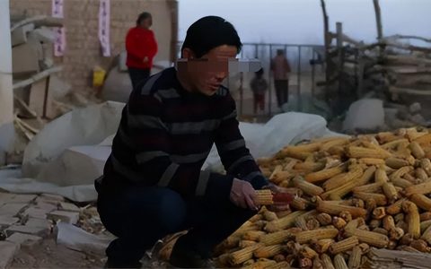 非法经营罪量刑标准是什么及非法经营罪的数额及量刑