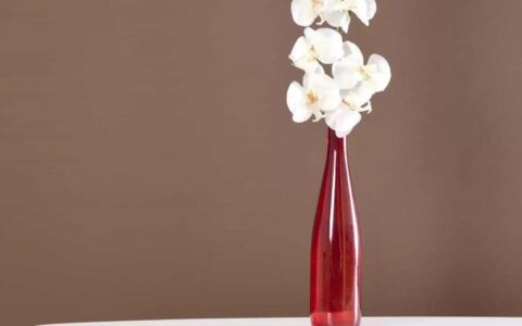 强制隔离戒毒一般是多少时间及解除强制戒毒的程序