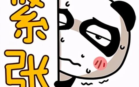 放弃退税申请怎么写及放弃增值税退税的情况说明