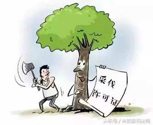 滥伐自己的林木，林木如何处理？