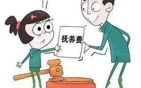 抚养费标准计算方法及离婚的抚养费的算法例子