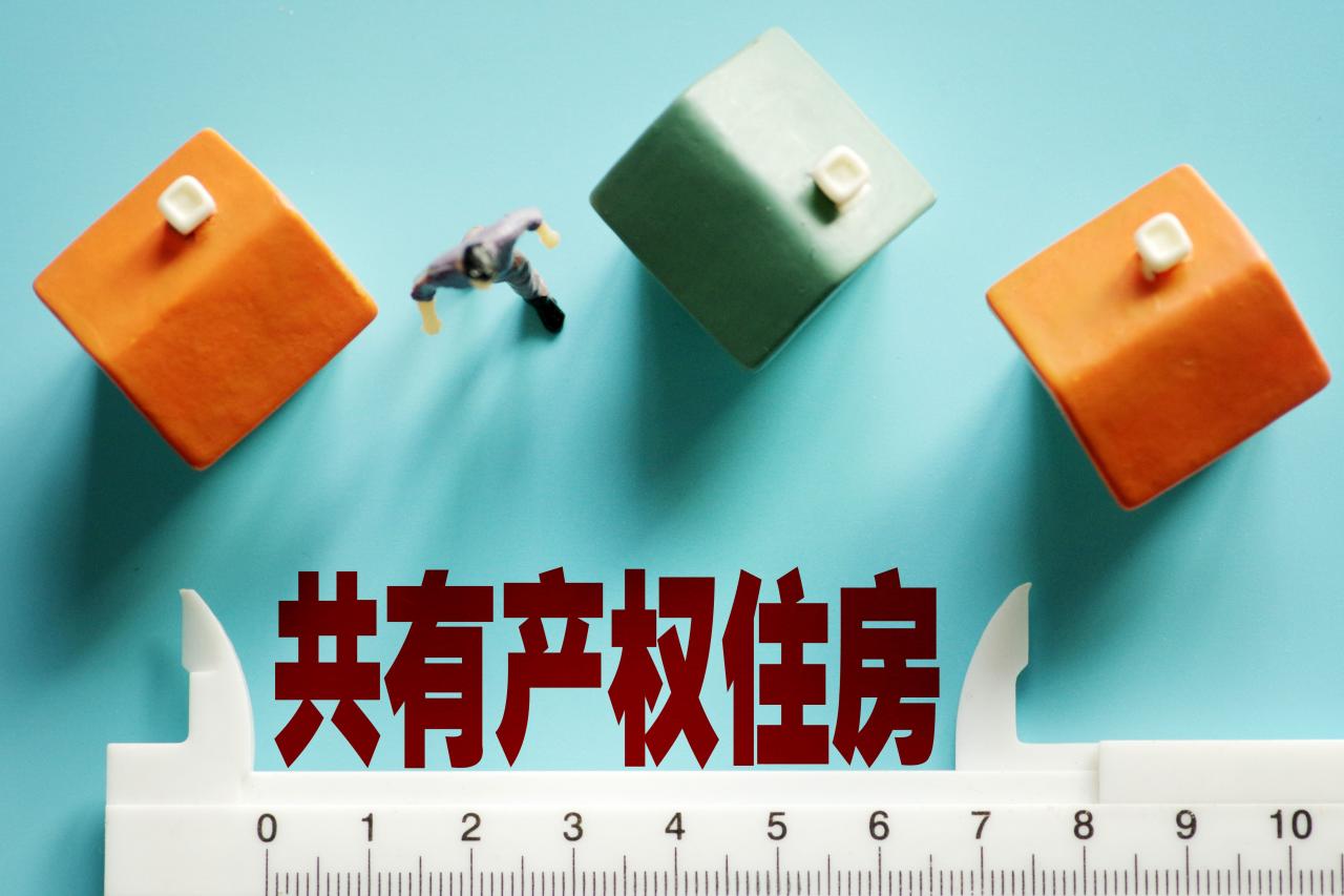 热问|共有产权房符合什么条件才能转让?购买对象有限制吗?