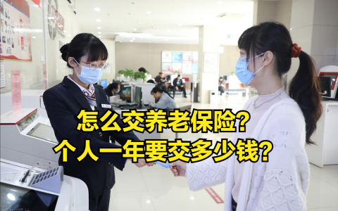 个人缴纳养老保险怎么叫及自费养老保险交费标准
