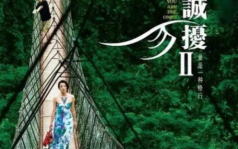 非诚勿扰商标侵权案例及非诚勿扰案知识产权案例分析