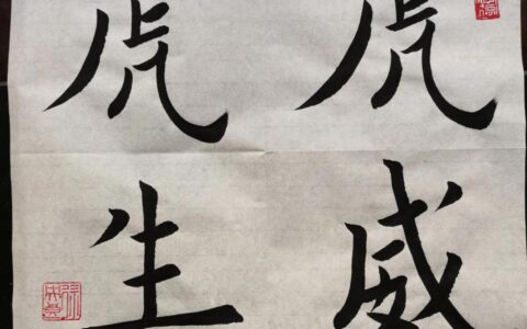 公司法解释四理解与适用及关于公司法解释四案例