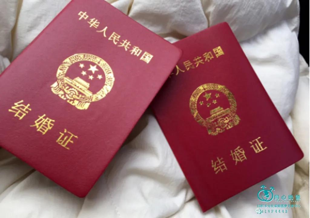 同志和拉拉形式婚姻有哪些法律风险，财产关系，离婚程序？