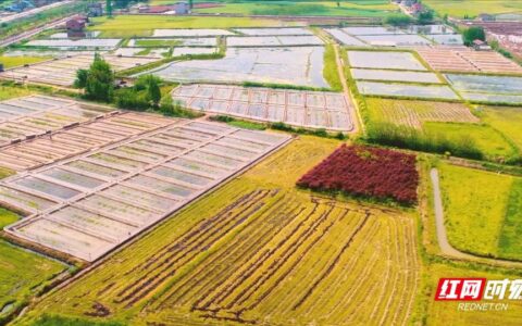 农村土地管理法是什么及关于农村土地确权最新政策