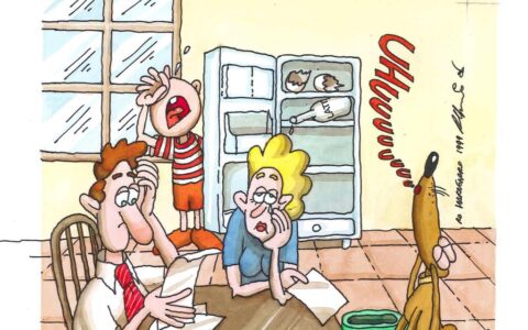 什么叫房改房及房改房司法解释