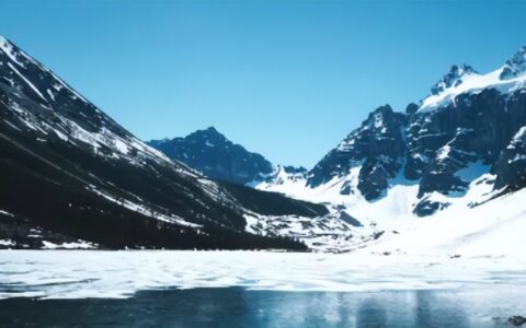 结婚登记体检免费吗及民法典对婚检的规定