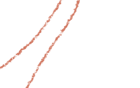 食品安全法是怎么规定的及食品安全法的内容