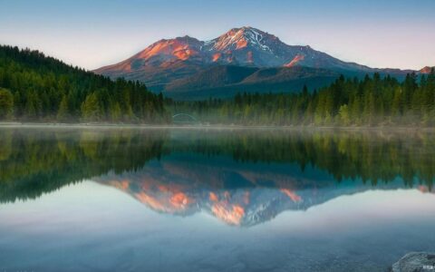 合同书怎么写范本及正规双方合作合同模板
